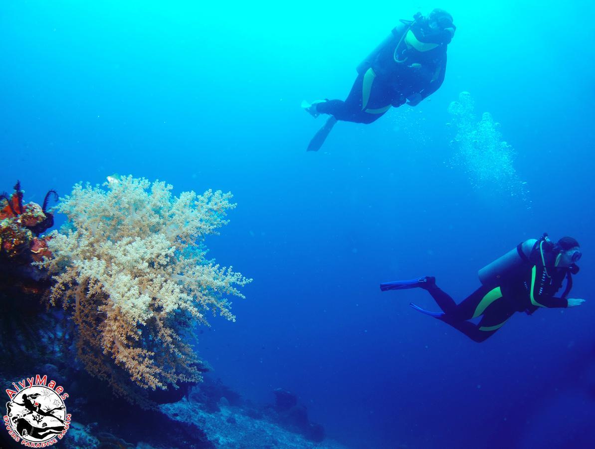 Aivymaes Divers Resort Dauin Εξωτερικό φωτογραφία