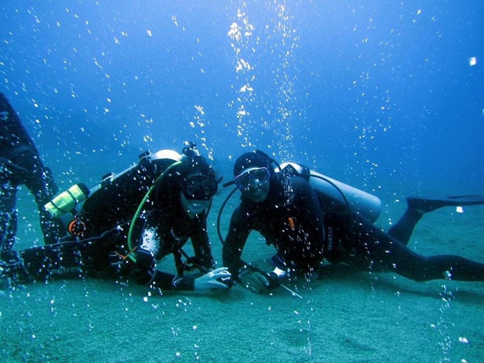 Aivymaes Divers Resort Dauin Εξωτερικό φωτογραφία